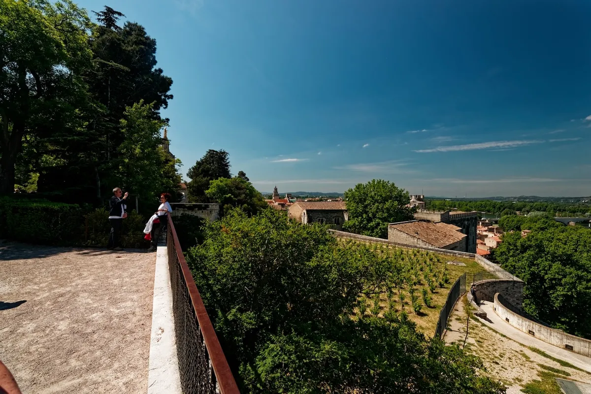 A perfect day in Avignon: a local's hour-by-hour itinerary