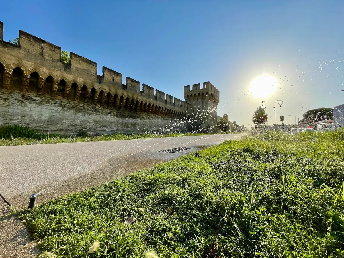 Surviving the Festival d'Avignon: crowds, heat and getting around